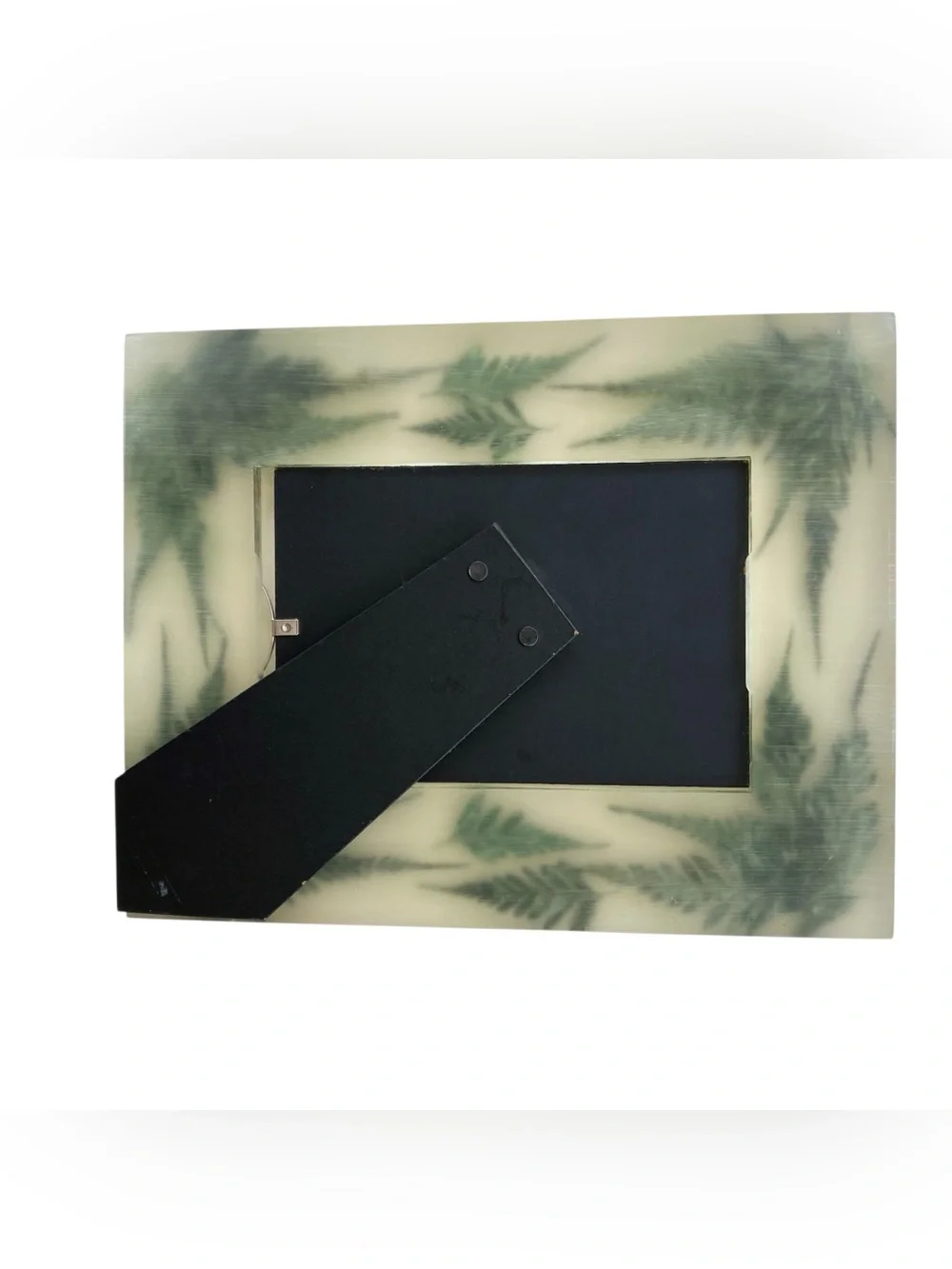 Lucite MCM Thick Fern Fronds Pressed Botanical Photo Picture Frame 4x6